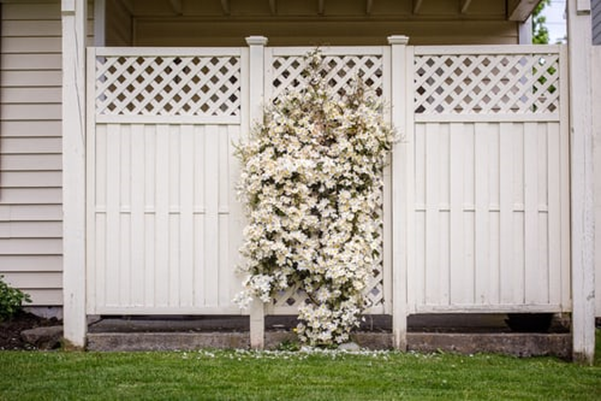 What Are The Best Tips for Creating a Feature Fence Australia 2022